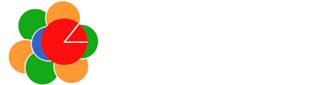 Einslight logo